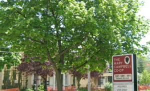 The Mary Campbell Cooperative on Talbot Street, London ON