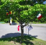 Yarn bombing in front of The Good Companions Seniors' Centre, Ottawa Canada